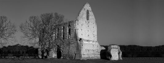 Newark Abbey or Newark Priory by the Wey River is nothing short of a dreamy location for Wings of Wisdom's campaign
